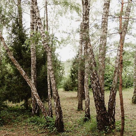 Berzu Namelis - Birch Cabin Kutsyuny Zewnętrze zdjęcie
