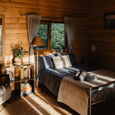 Berzu Namelis - Birch Cabin Kutsyuny Zewnętrze zdjęcie