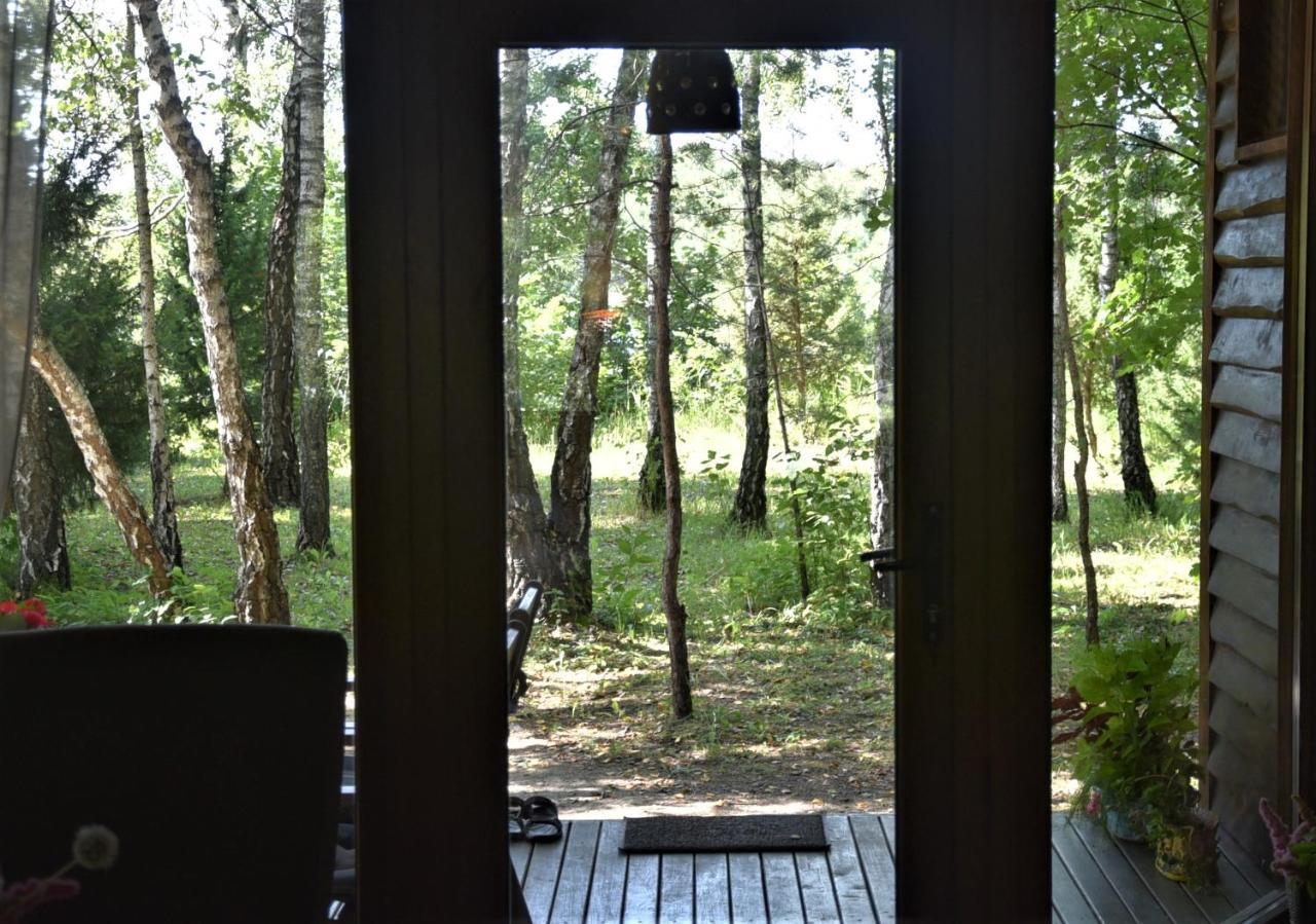 Berzu Namelis - Birch Cabin Kutsyuny Zewnętrze zdjęcie