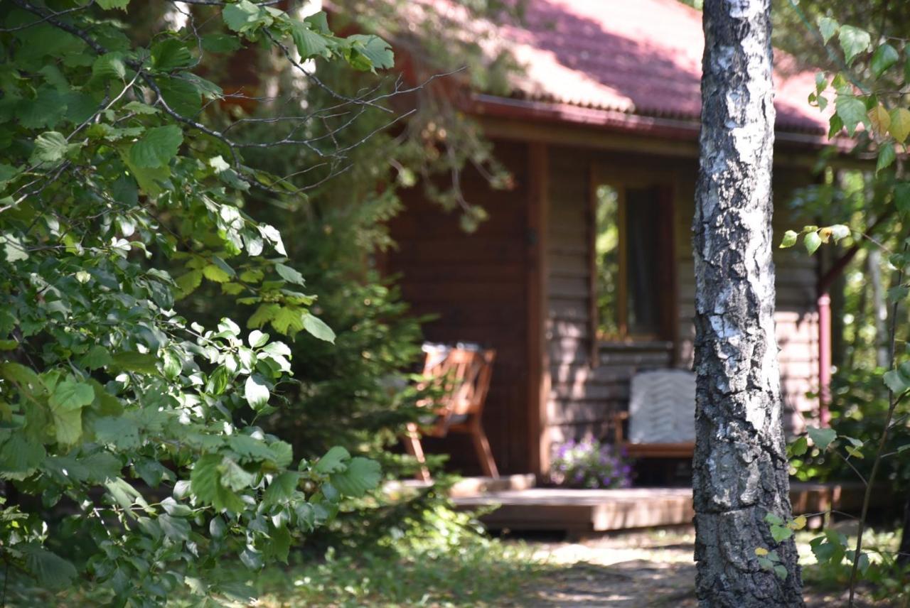 Berzu Namelis - Birch Cabin Kutsyuny Zewnętrze zdjęcie