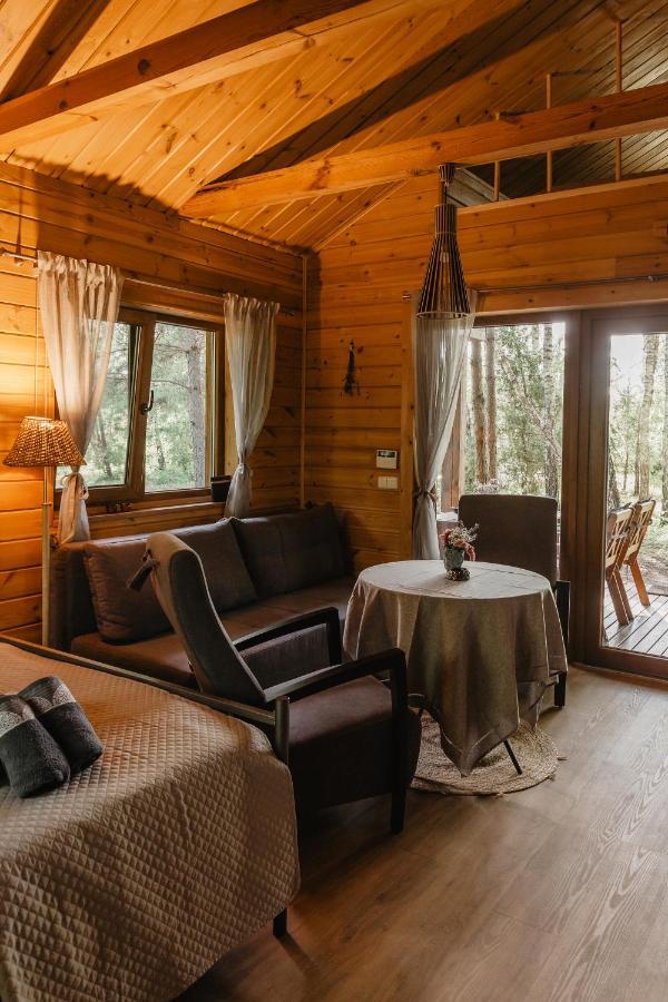 Berzu Namelis - Birch Cabin Kutsyuny Zewnętrze zdjęcie
