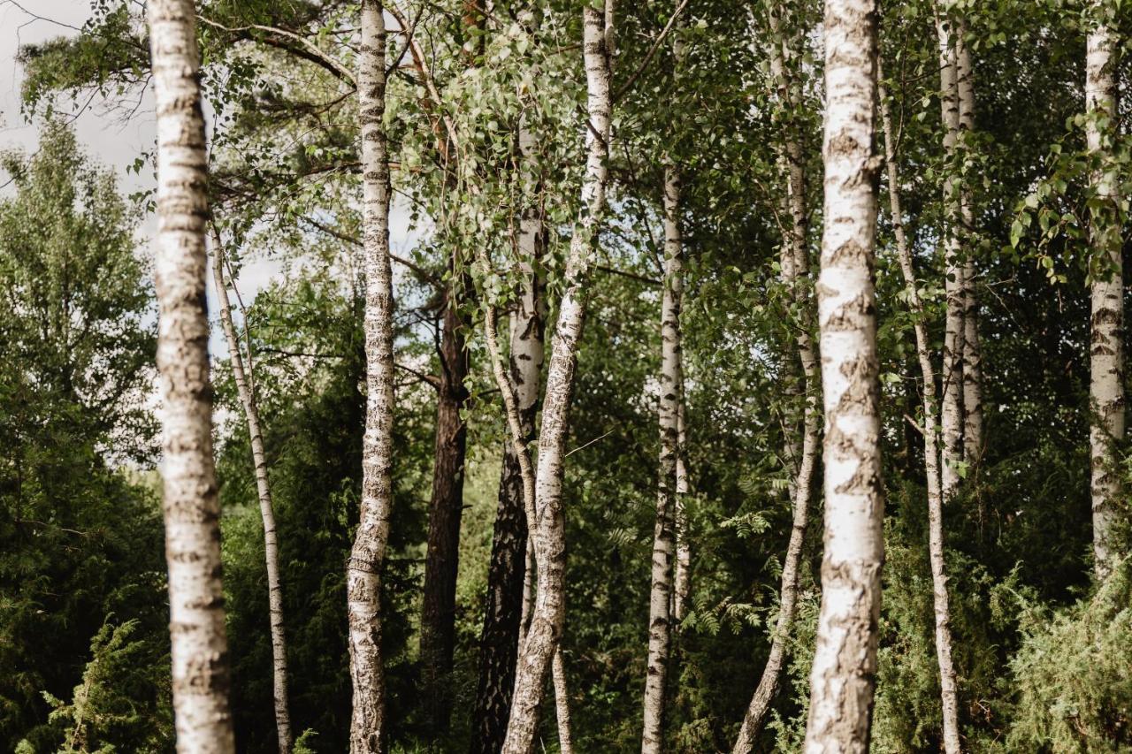 Berzu Namelis - Birch Cabin Kutsyuny Zewnętrze zdjęcie